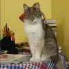Отзыв от Людмила Блинова